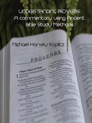 cover image of Understanding Proverbs
